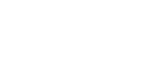 Goldstein Bershad and Fried, PC